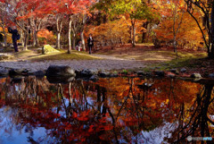 紅葉散歩・秋
