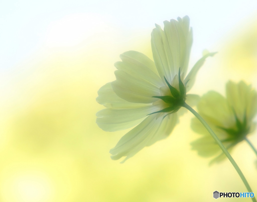 時間をとまれ・2015