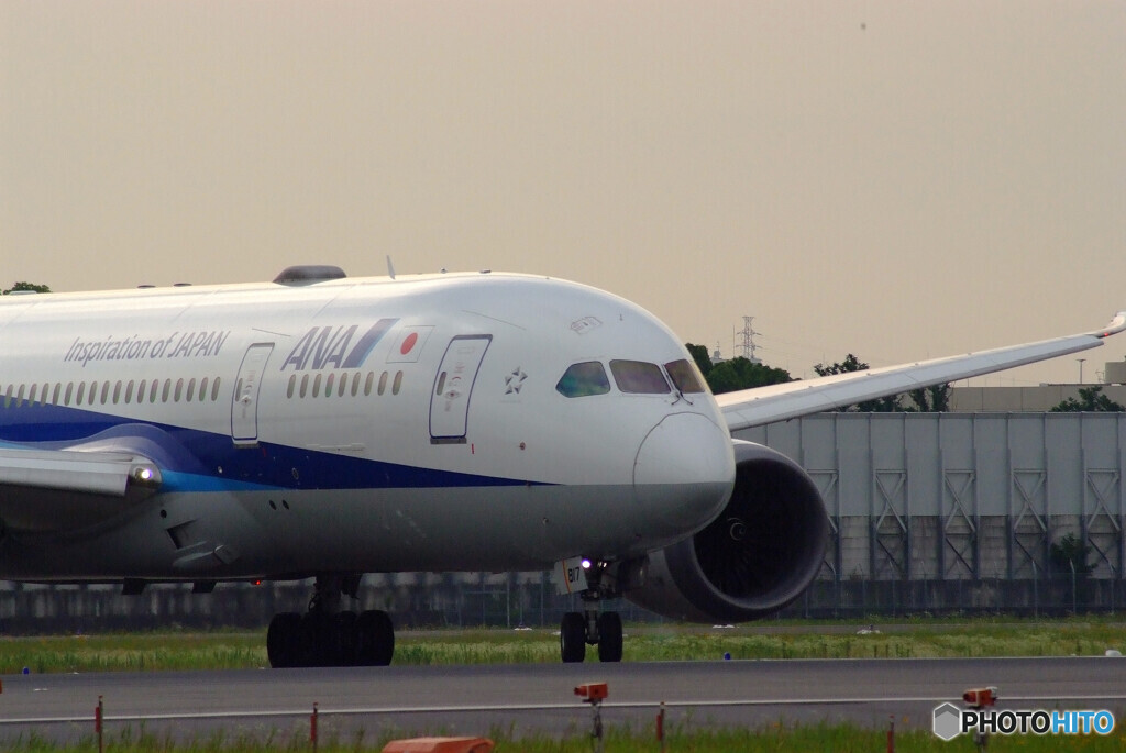 6月の朝✈787-8 Dreamliner