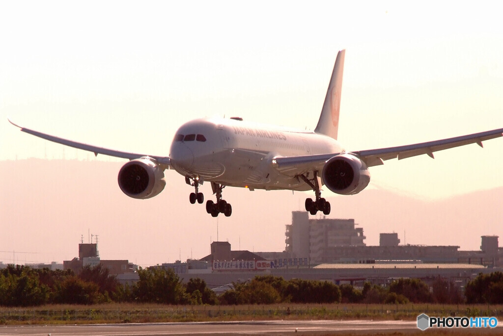 RebornⅣ✈Boeing 787-8 Dreamliner