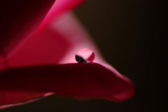 Everything♩静寂の午後