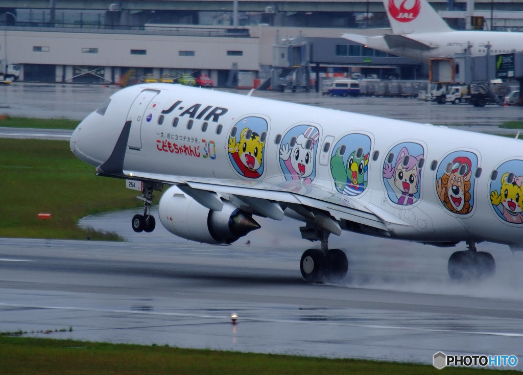 Rain Airport・JA254J