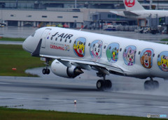 Rain Airport・JA254J