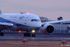 俺の朝焼け✈HARADA