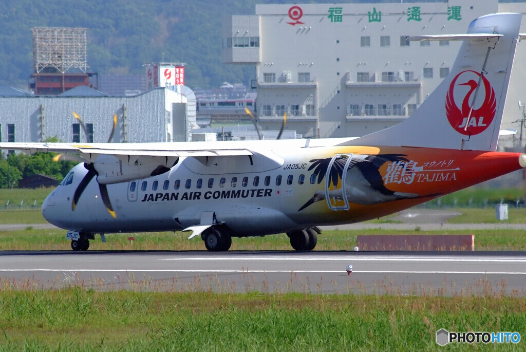 鶴が飛ぶ✈HARADAの朝