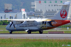 鶴が飛ぶ✈HARADAの朝