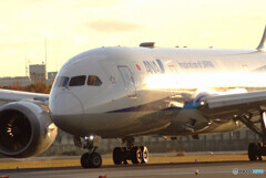 Golden Stage★Boeing 787