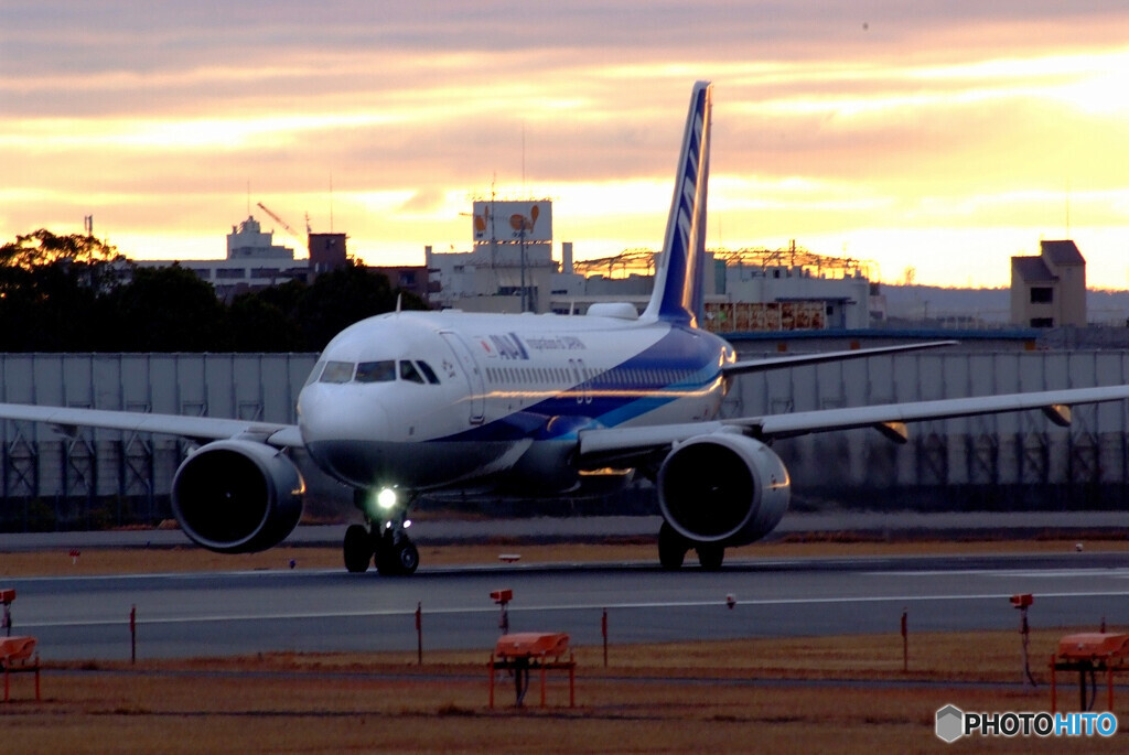 JAPANの朝Ⅵ✈A320 NEO