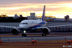 JAPANの朝Ⅵ✈A320 NEO