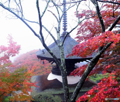 古都・紅葉模様