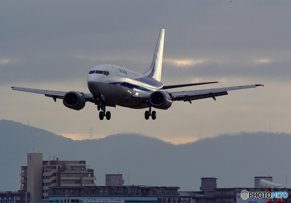 ようこそ！Dolphin