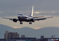 ようこそ！Dolphin