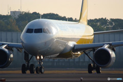 行くぞ！Vanilla Air 