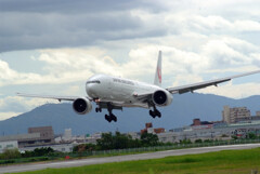 Morning Bird秋✈Boeing777-300