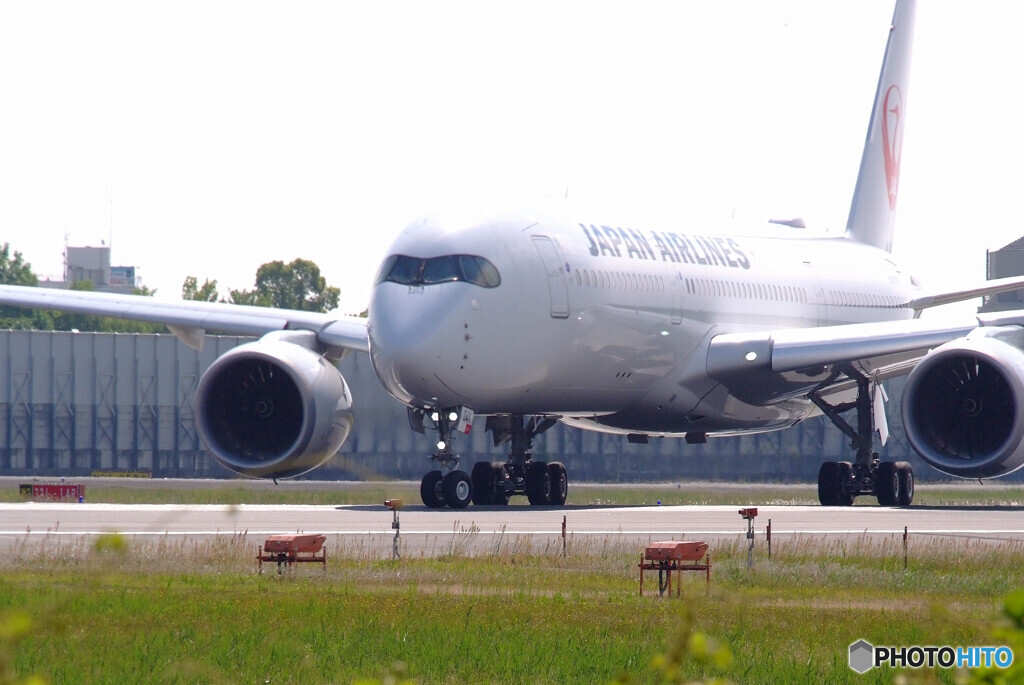 HARADAの朝✈Airbus A350-900