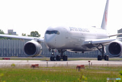 HARADAの朝✈Airbus A350-900