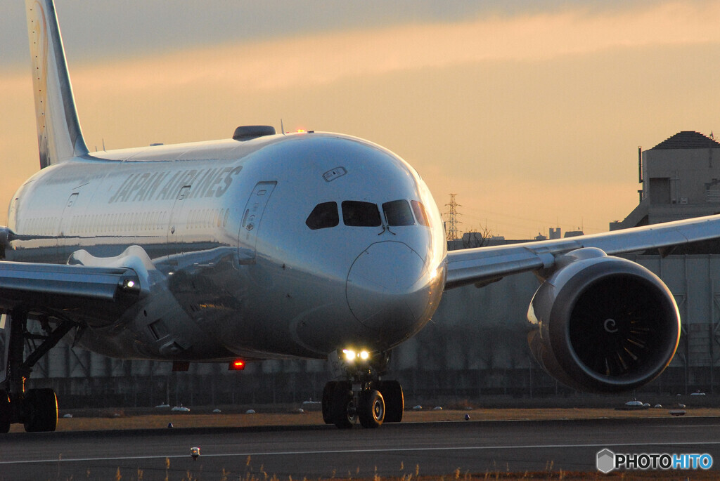 Morning of the 24thⅨ✈Boeing 787-8