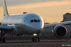 Morning of the 24thⅨ✈Boeing 787-8
