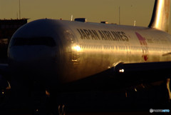 Rising Sun・JA614J