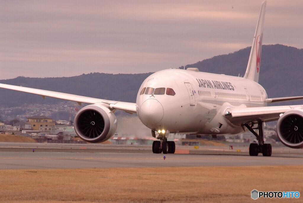 桜月の翼✈Dreamliner