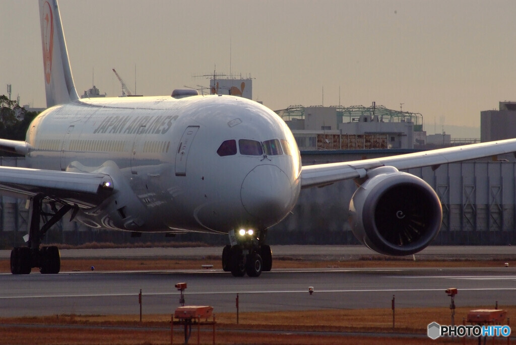 極月の朝✈Boeing 787-8