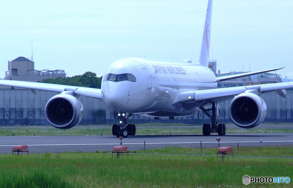 蒼の世界へ✈A350-900