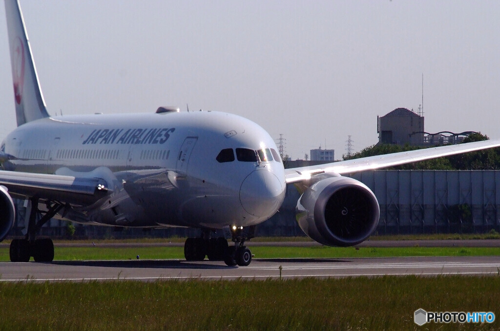 Delusional TripⅣ✈9月の翼