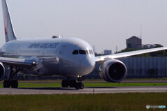 Delusional TripⅣ✈9月の翼