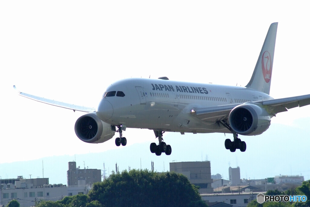 Traveler of AugustⅡ✈Boeing 787-８