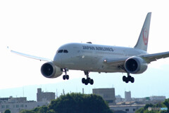 Traveler of AugustⅡ✈Boeing 787-８