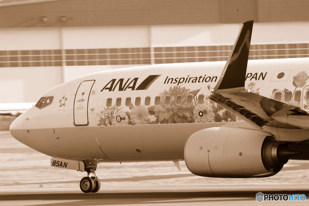 春爛漫！・Flower