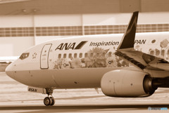 春爛漫！・Flower