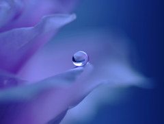 蒼色の時
