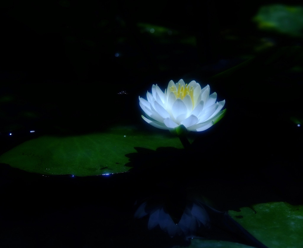 孤独・睡
