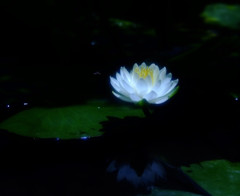孤独・睡