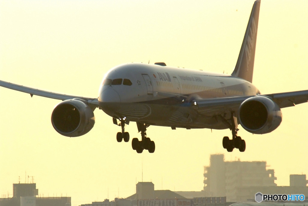 Flight Traveler・787