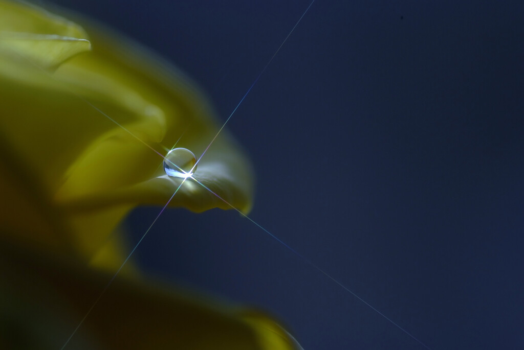 魅せられて✿一粒の涙