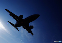 Shadow Star・Dolphin