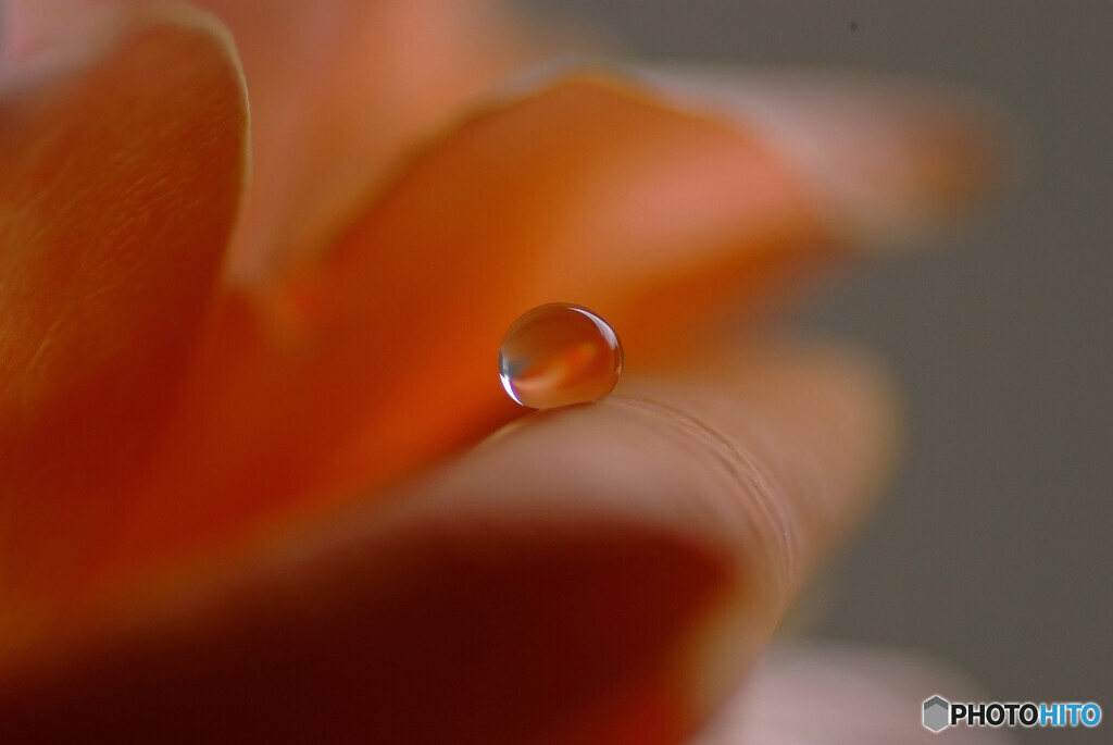 想い玉✿葉月の心