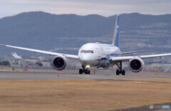 俺の旅路✈787-9 Dreamliner