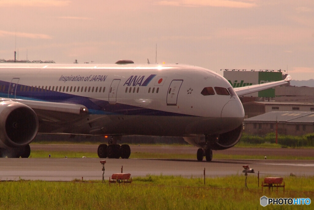 癒しの時間Ⅳ✈2020夏