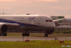 癒しの時間Ⅳ✈2020夏