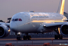 PROUD✈Japan Airlines 