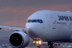 Good Afternoon✈777