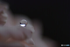 永遠の瞳✿葉月の雫