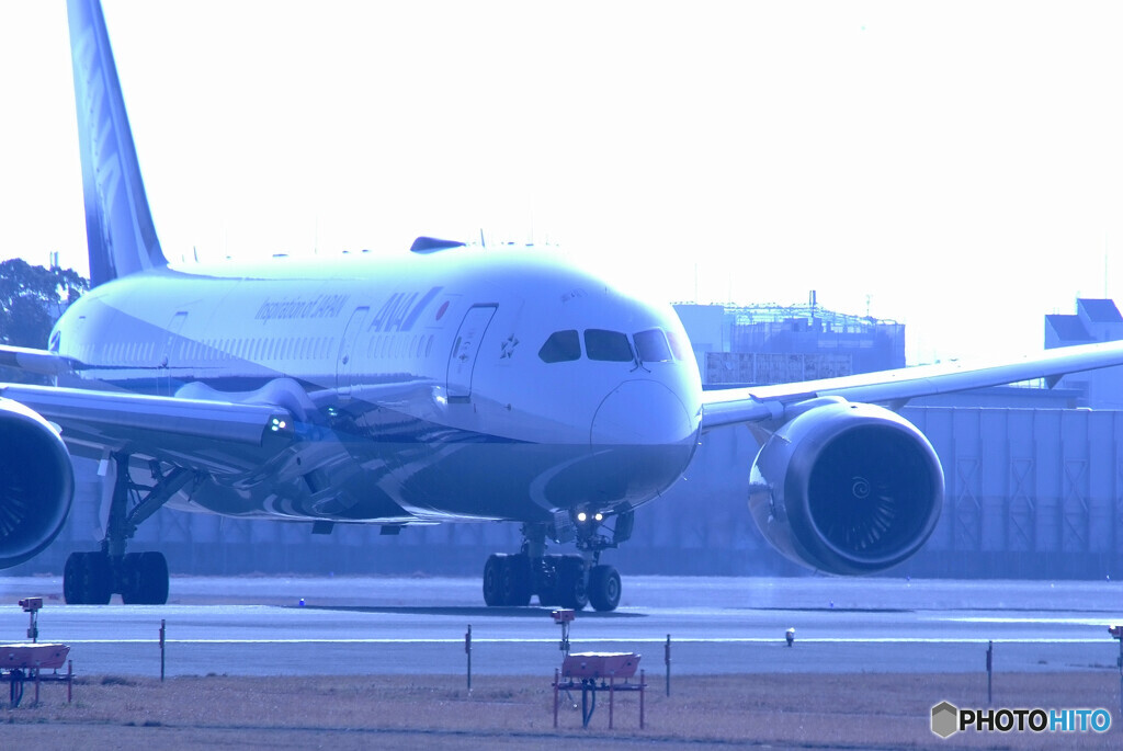 蒼の世界Ⅱ✈787-8