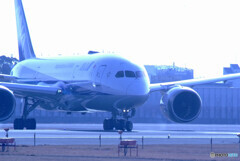 蒼の世界Ⅱ✈787-8