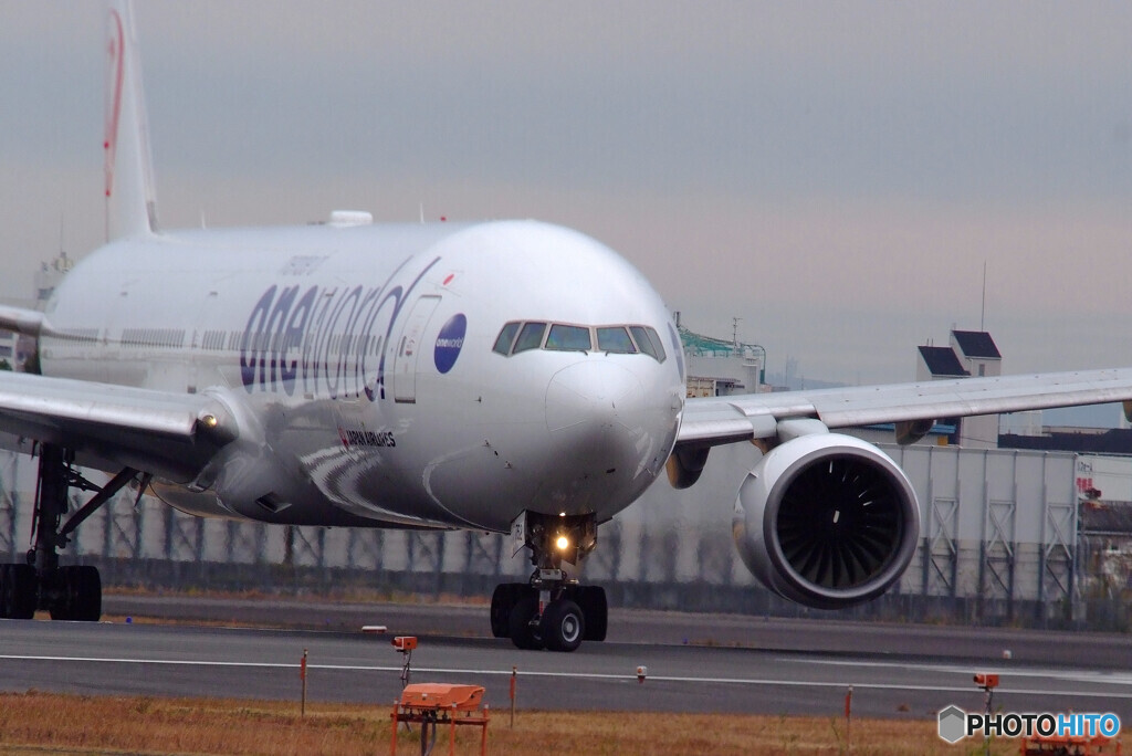 Delusion Travel・777