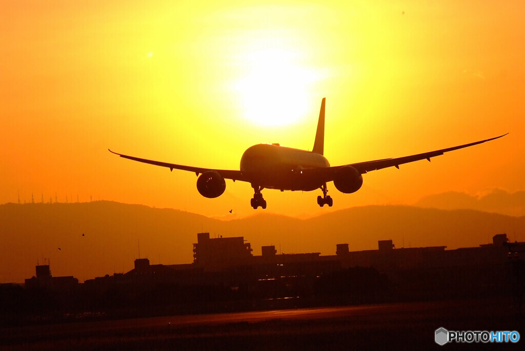 光道へ✈Dreamliner