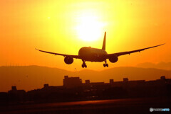 光道へ✈Dreamliner